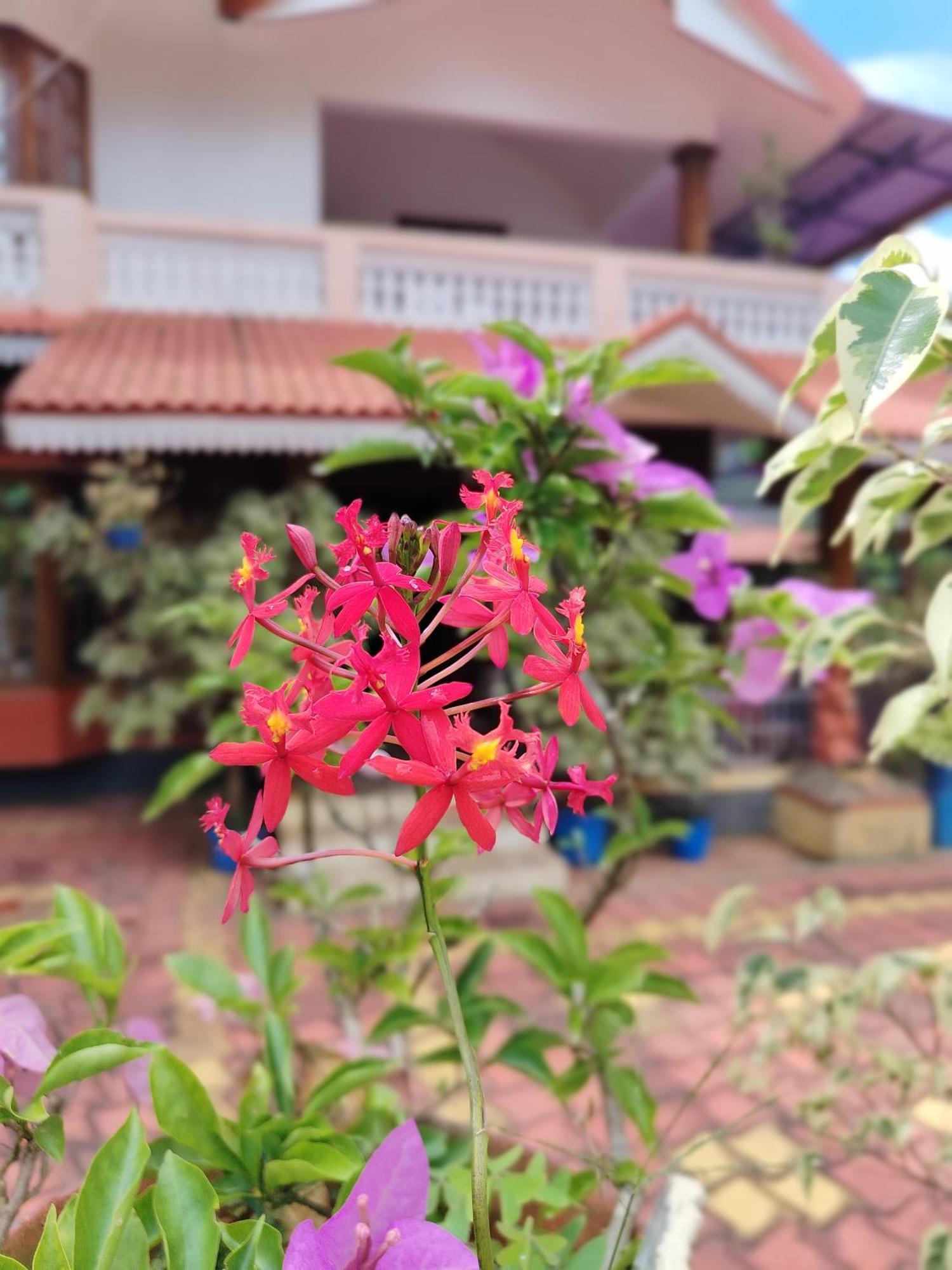Shivalaya Homestay, Madikeri Siddāpur Екстериор снимка