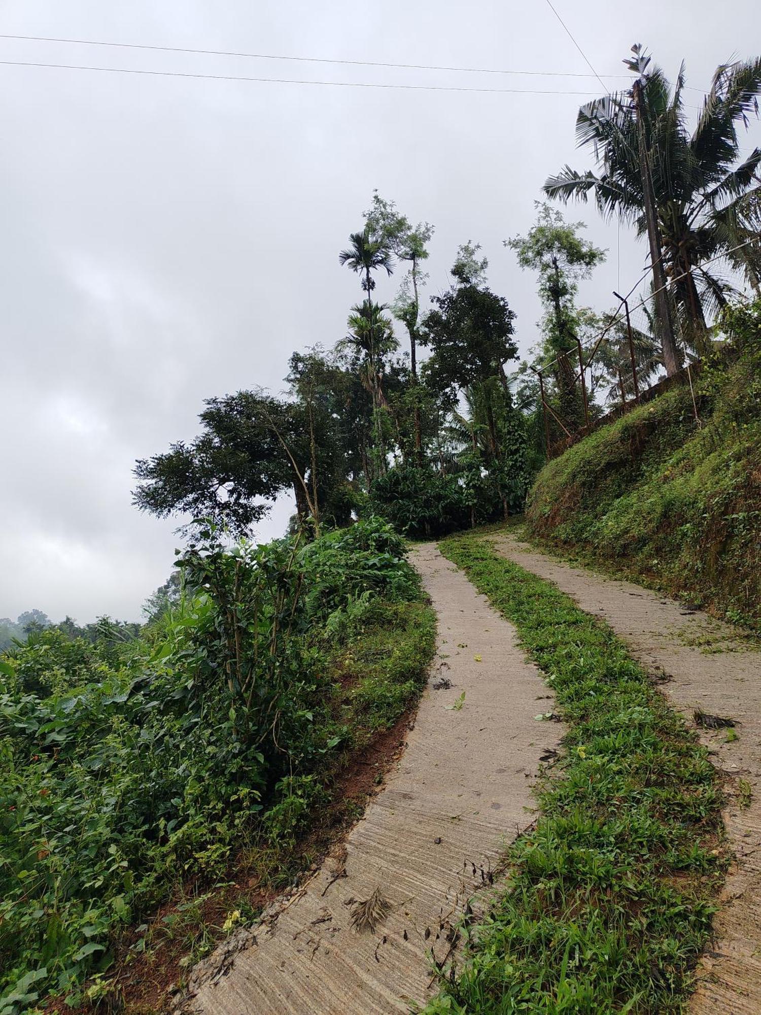 Shivalaya Homestay, Madikeri Siddāpur Екстериор снимка