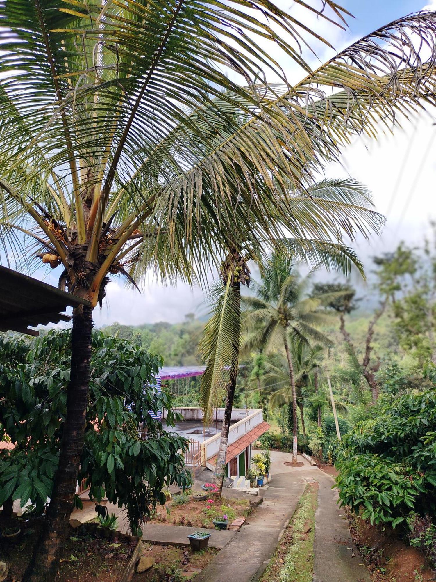 Shivalaya Homestay, Madikeri Siddāpur Екстериор снимка